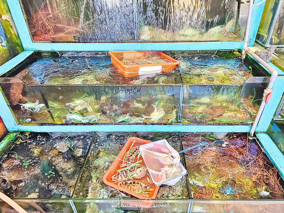 【楓味萬里蟹】萬里海鮮餐廳推薦,現挑活蟹、清蒸海鮮,翡翠灣美食菜單價錢 @兔兒毛毛姊妹花 【楓味萬里蟹】萬里海鮮餐廳推薦,現挑活蟹、清蒸海鮮,翡翠灣美食菜單價錢 @兔兒毛毛姊妹花