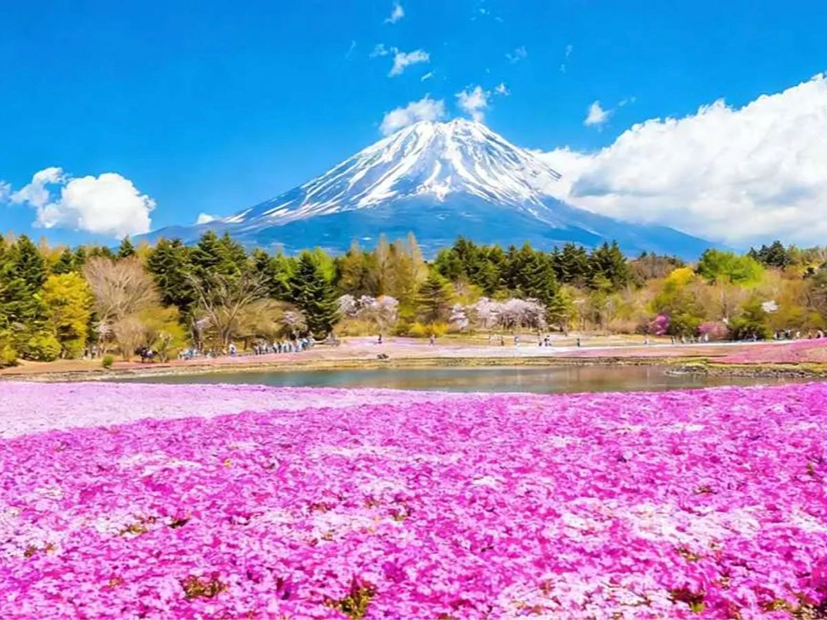 【河口湖自由行攻略】富士山三天兩夜自駕行程，御殿場、忍野八海、富士急樂園與河口湖景點住宿推薦 @兔兒毛毛姊妹花