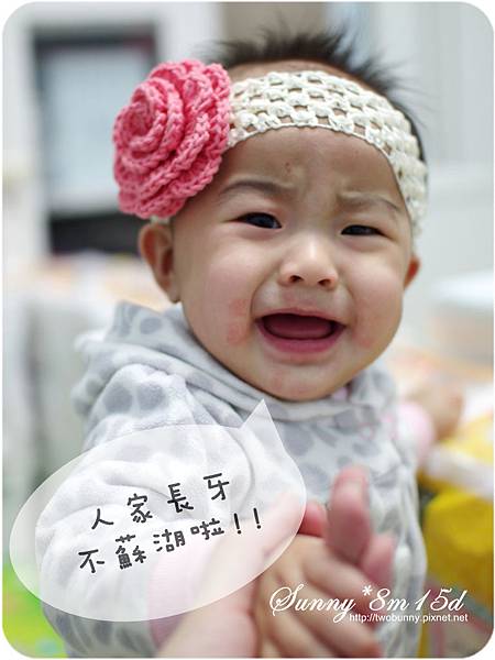 [小兔。8M+] 驚!!小白3號竟然不是門牙!! @兔兒毛毛姊妹花