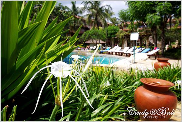 [2012 Bali] 努沙都瓦海岸飯店~ Aston bali resort and spa @兔兒毛毛姊妹花