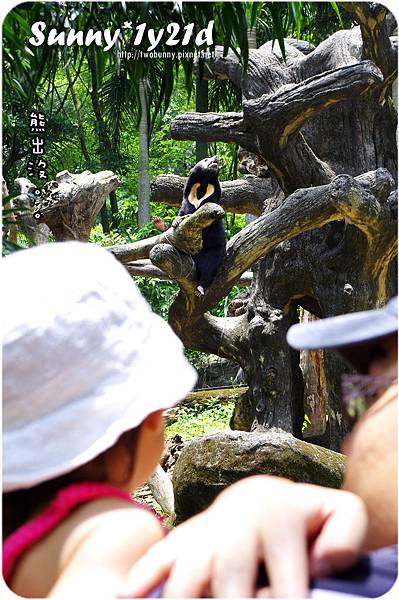 [小兔。1Y0M+] 動物園初體驗 @兔兒毛毛姊妹花