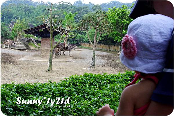 [小兔。1Y0M+] 動物園初體驗 @兔兒毛毛姊妹花
