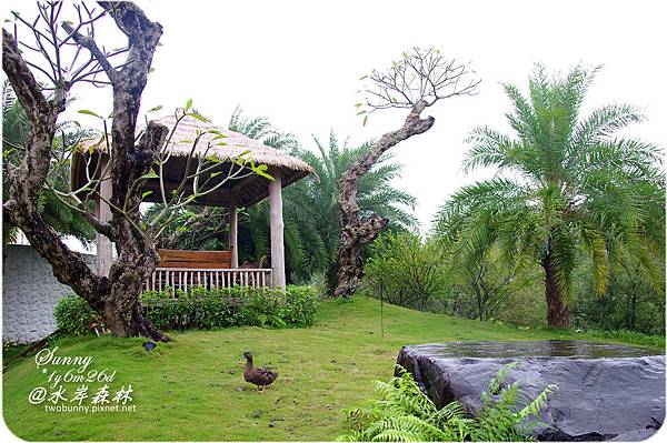 [兔兒遊宜蘭。1Y6M+] 雨天小旅行~入住水岸森林的泳池 Villa @兔兒毛毛姊妹花