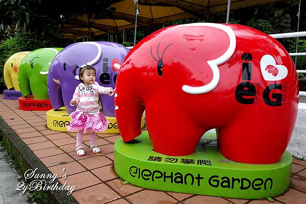 [親子餐廳。台北] 兔兒的2歲生日趴@象園咖啡 (Elephant Garden) @兔兒毛毛姊妹花