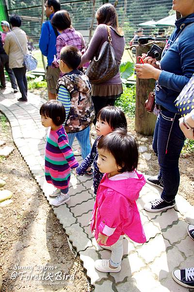 [親子餐廳。新竹] 好開心的同學會@森林鳥花園 @兔兒毛毛姊妹花