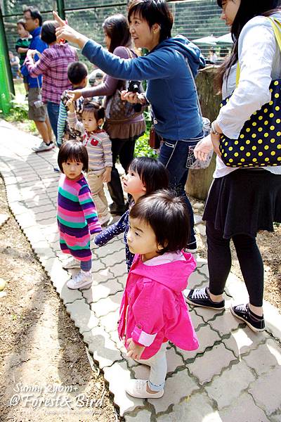 [親子餐廳。新竹] 好開心的同學會@森林鳥花園 @兔兒毛毛姊妹花