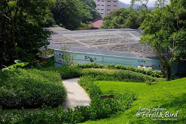 [親子餐廳。新竹] 好開心的同學會@森林鳥花園 @兔兒毛毛姊妹花