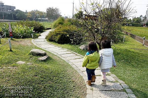 [親子遊。苗栗] 草莓。溫泉。牧場行 (上)-棗莊用餐餵兔子&大湖採草莓 @兔兒毛毛姊妹花