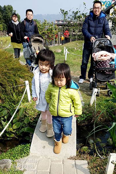[親子遊。苗栗] 草莓。溫泉。牧場行 (上)-棗莊用餐餵兔子&大湖採草莓 @兔兒毛毛姊妹花