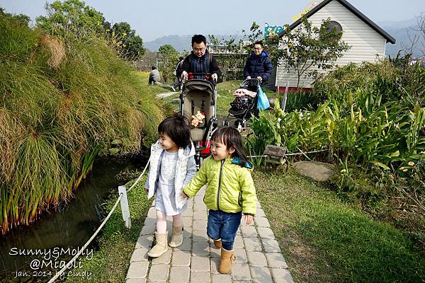 [親子遊。苗栗] 草莓。溫泉。牧場行 (上)-棗莊用餐餵兔子&大湖採草莓 @兔兒毛毛姊妹花