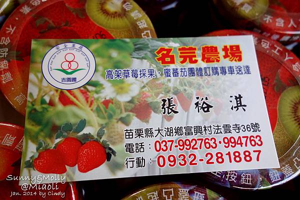 [親子遊。苗栗] 草莓。溫泉。牧場行 (上)-棗莊用餐餵兔子&大湖採草莓 @兔兒毛毛姊妹花