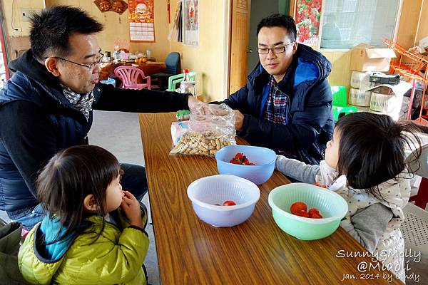 [親子遊。苗栗] 草莓。溫泉。牧場行 (上)-棗莊用餐餵兔子&大湖採草莓 @兔兒毛毛姊妹花