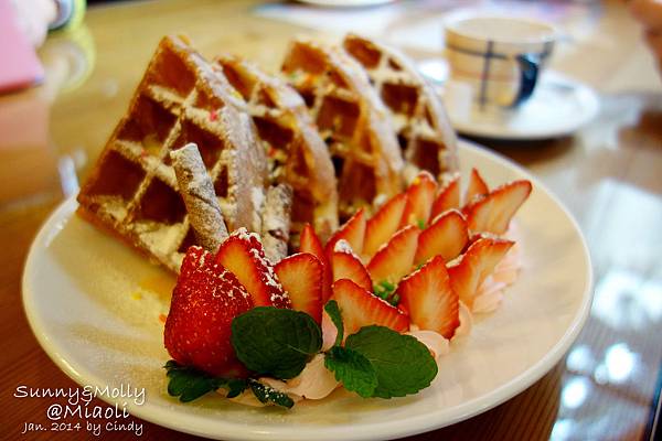 [親子遊。苗栗] 草莓。溫泉。牧場行 (上)-棗莊用餐餵兔子&大湖採草莓 @兔兒毛毛姊妹花