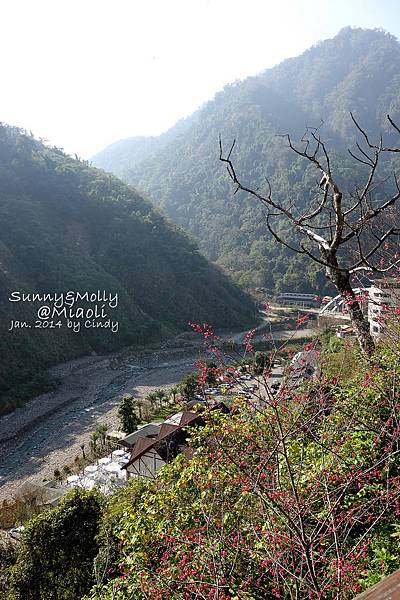 [親子遊。苗栗] 草莓。溫泉。牧場行 (中)-湯悅溫泉泡湯賞美景 & 山吻泉豐盛晚餐 @兔兒毛毛姊妹花