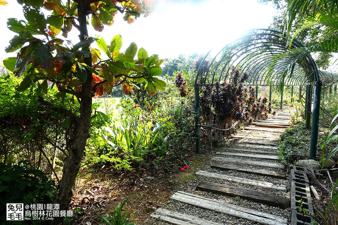 [桃園。庭園餐廳] 『烏樹林花園餐廳』大草坪吹泡泡＋大溪花海農場餵食羊咩咩 @兔兒毛毛姊妹花