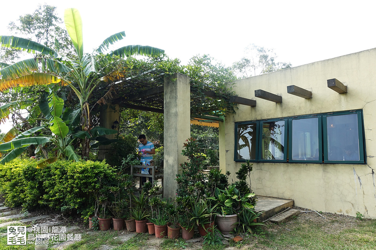 [桃園。庭園餐廳] 『烏樹林花園餐廳』大草坪吹泡泡＋大溪花海農場餵食羊咩咩 @兔兒毛毛姊妹花