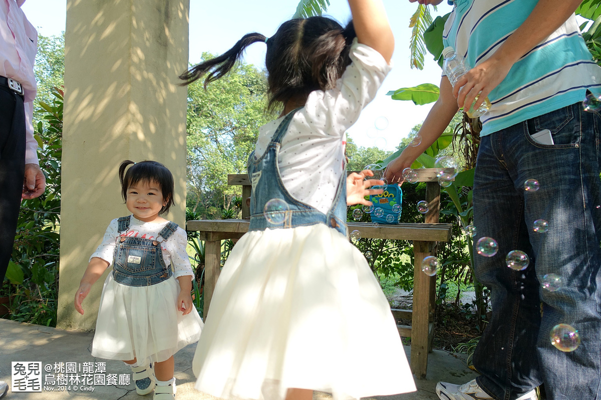 [桃園。庭園餐廳] 『烏樹林花園餐廳』大草坪吹泡泡＋大溪花海農場餵食羊咩咩 @兔兒毛毛姊妹花