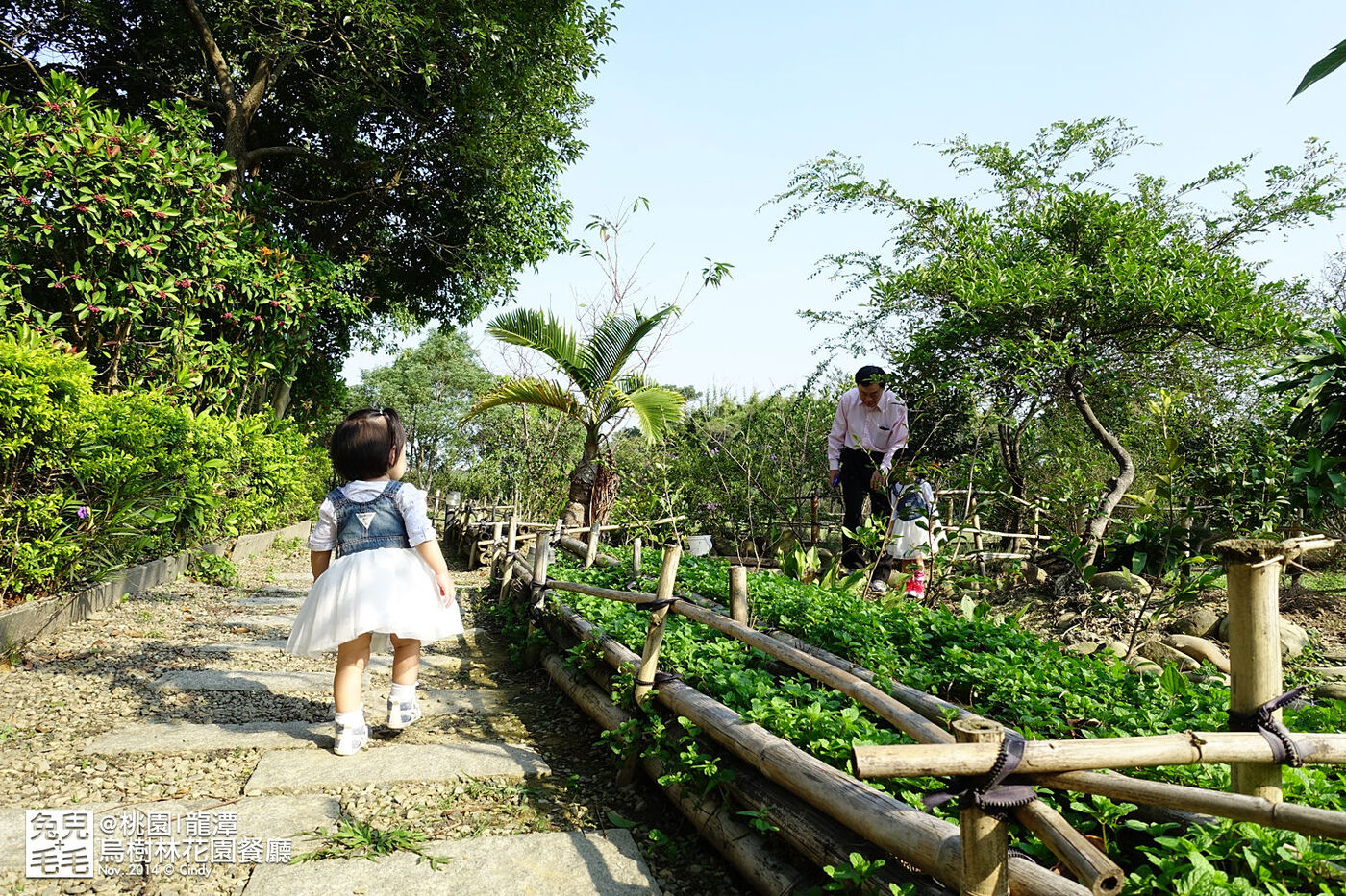 [桃園。庭園餐廳] 『烏樹林花園餐廳』大草坪吹泡泡＋大溪花海農場餵食羊咩咩 @兔兒毛毛姊妹花