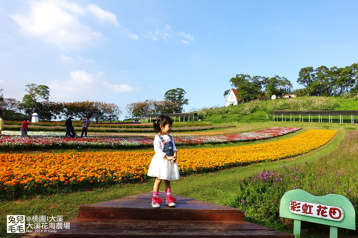 [桃園。庭園餐廳] 『烏樹林花園餐廳』大草坪吹泡泡＋大溪花海農場餵食羊咩咩 @兔兒毛毛姊妹花