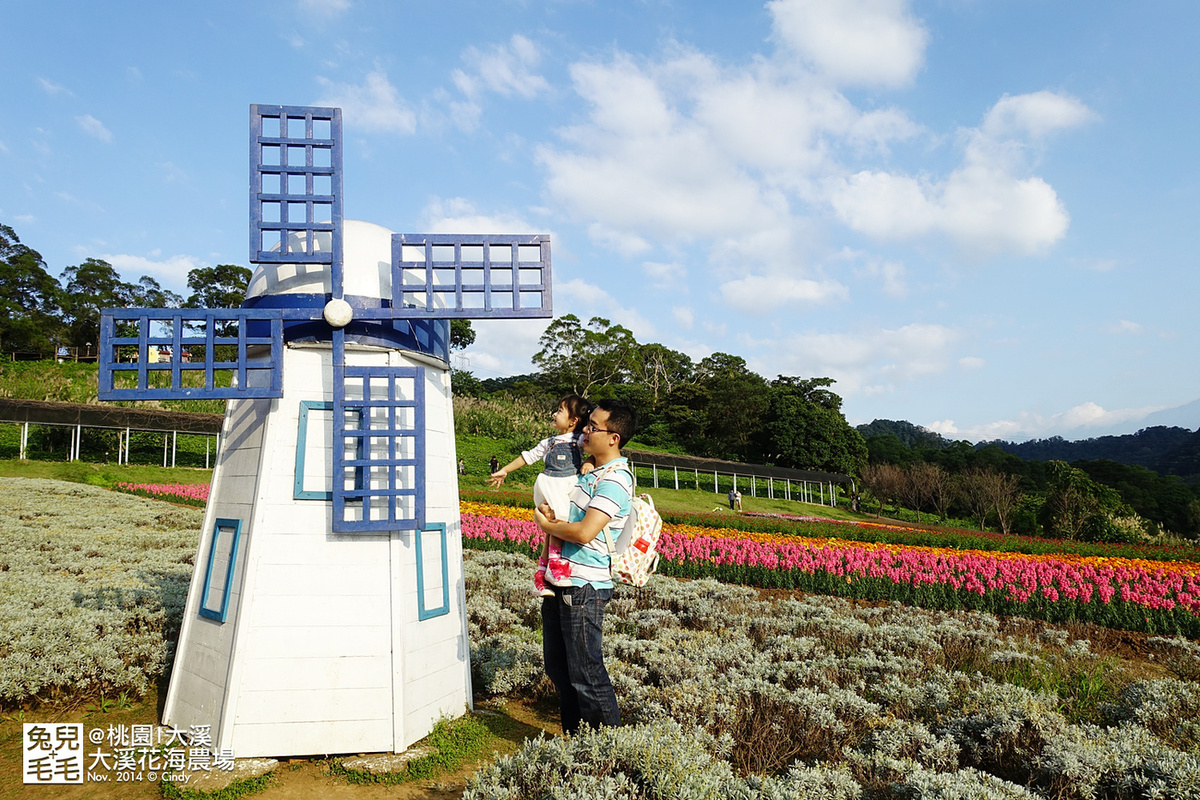 [桃園。庭園餐廳] 『烏樹林花園餐廳』大草坪吹泡泡＋大溪花海農場餵食羊咩咩 @兔兒毛毛姊妹花