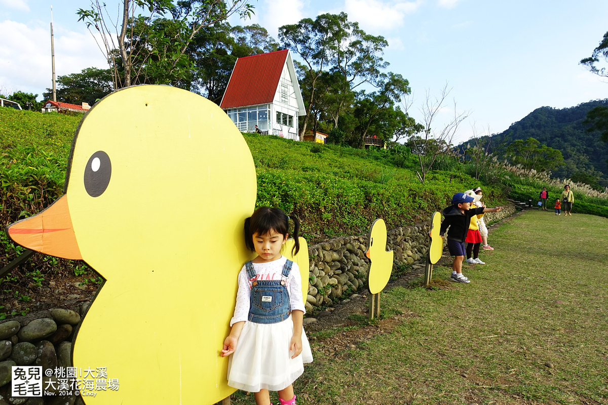 [桃園。庭園餐廳] 『烏樹林花園餐廳』大草坪吹泡泡＋大溪花海農場餵食羊咩咩 @兔兒毛毛姊妹花
