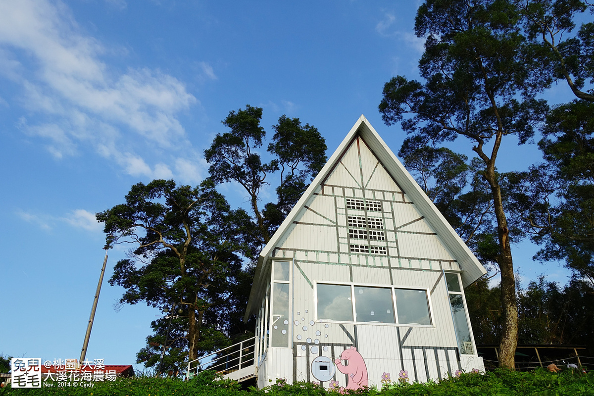[桃園。庭園餐廳] 『烏樹林花園餐廳』大草坪吹泡泡＋大溪花海農場餵食羊咩咩 @兔兒毛毛姊妹花