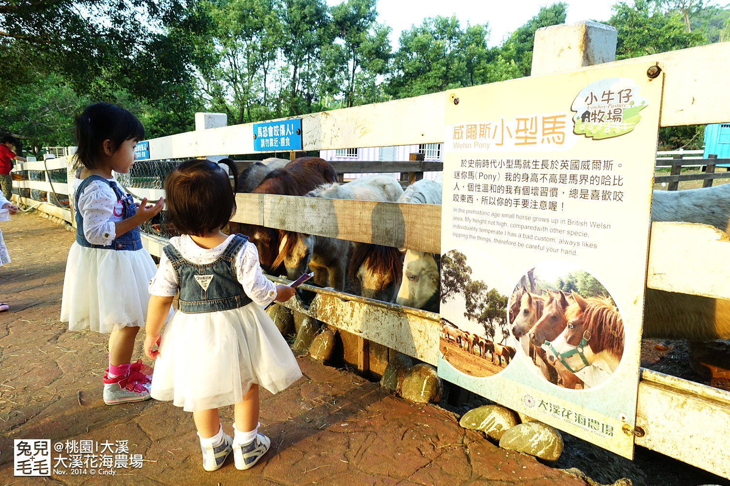[桃園。庭園餐廳] 『烏樹林花園餐廳』大草坪吹泡泡＋大溪花海農場餵食羊咩咩 @兔兒毛毛姊妹花