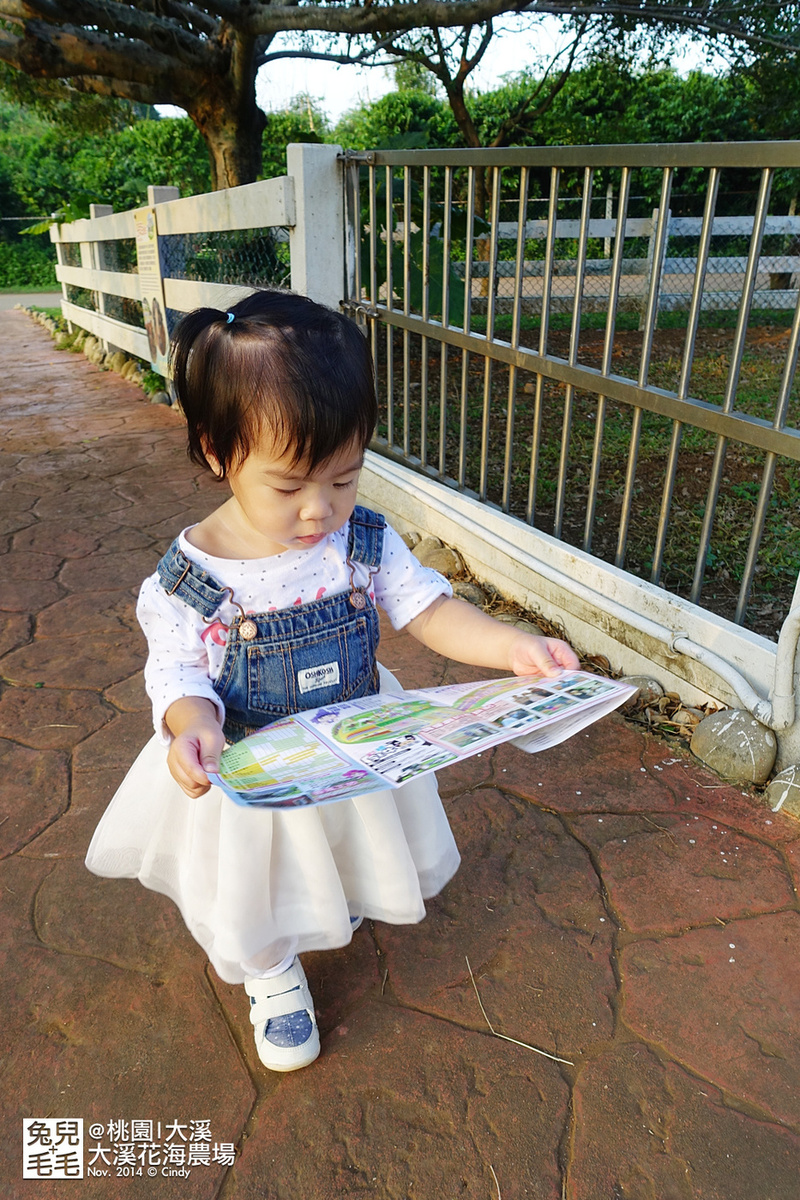 [桃園。庭園餐廳] 『烏樹林花園餐廳』大草坪吹泡泡＋大溪花海農場餵食羊咩咩 @兔兒毛毛姊妹花
