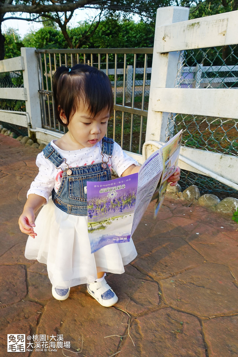 [桃園。庭園餐廳] 『烏樹林花園餐廳』大草坪吹泡泡＋大溪花海農場餵食羊咩咩 @兔兒毛毛姊妹花