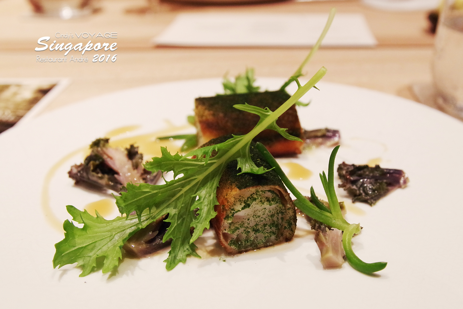 [2016。新加坡] 到 Restaurant ANDR&Eacute; 來場色香味俱全的米其林三星饗宴 @兔兒毛毛姊妹花