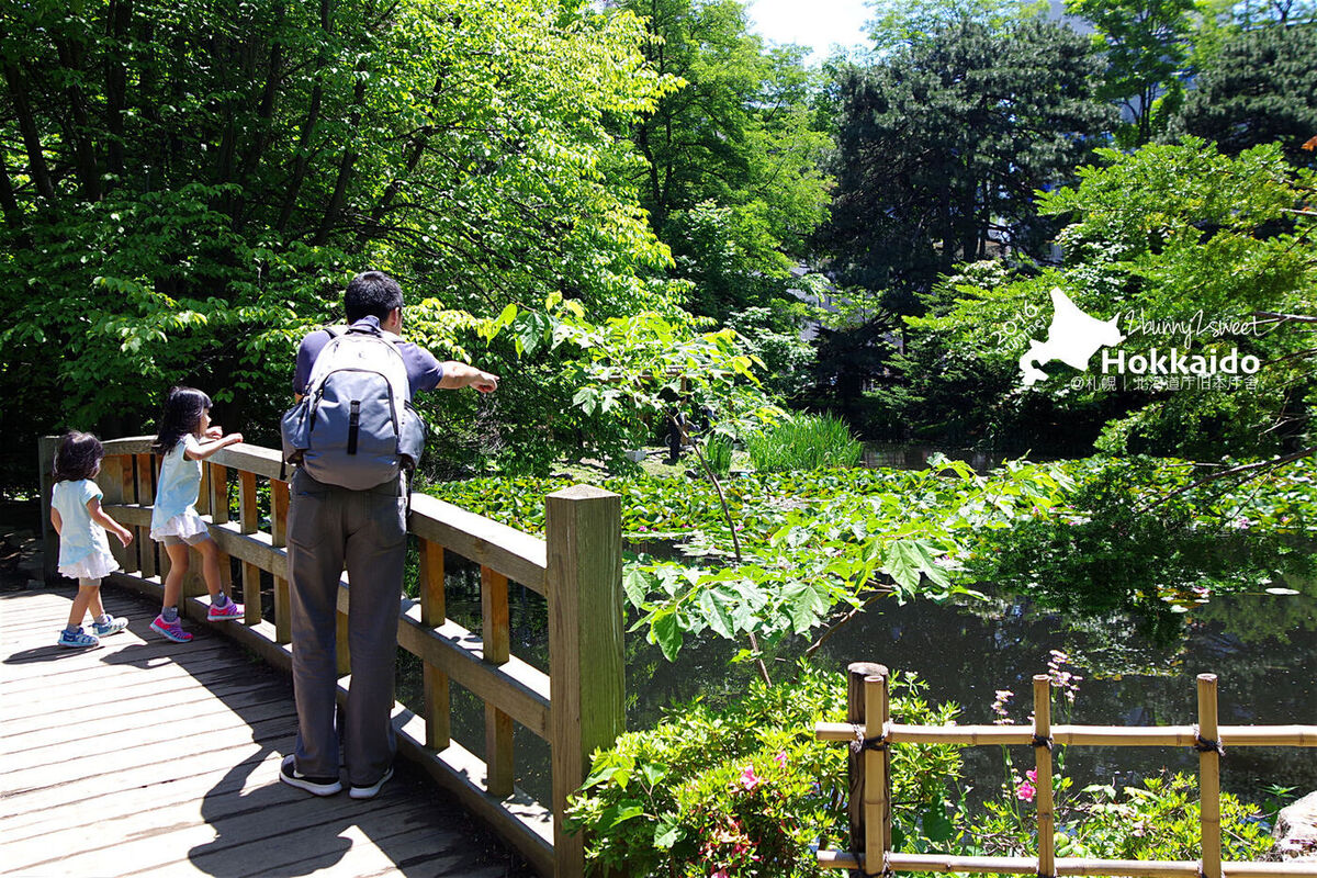 [北海道|親子|自駕] 札幌吃喝玩買散策地圖～舊道廳、時計台、北菓樓札幌本館、大通公園、北海道大學、狸小路 @兔兒毛毛姊妹花