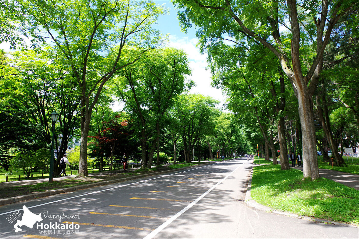 [北海道|親子|自駕] 札幌吃喝玩買散策地圖～舊道廳、時計台、北菓樓札幌本館、大通公園、北海道大學、狸小路 @兔兒毛毛姊妹花