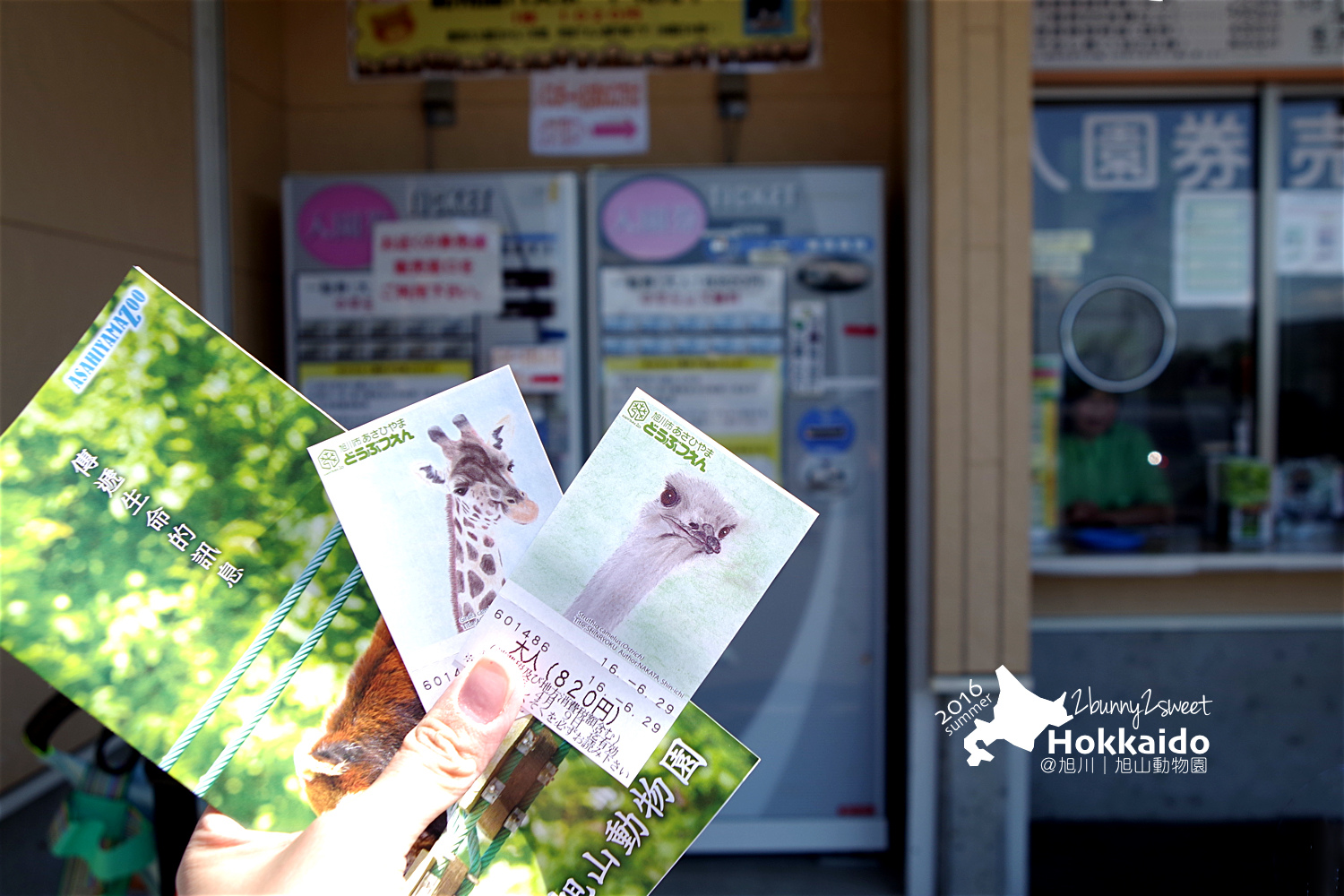 [北海道|親子|自駕] 旭山動物園～看極地動物不用隔著玻璃!! 在『旭山動物園』和企鵝、北極熊面對面～旭川親子景點 @兔兒毛毛姊妹花
