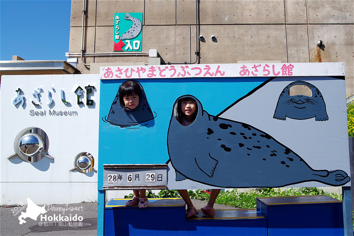 [北海道|親子|自駕] 旭山動物園～看極地動物不用隔著玻璃!! 在『旭山動物園』和企鵝、北極熊面對面～旭川親子景點 @兔兒毛毛姊妹花