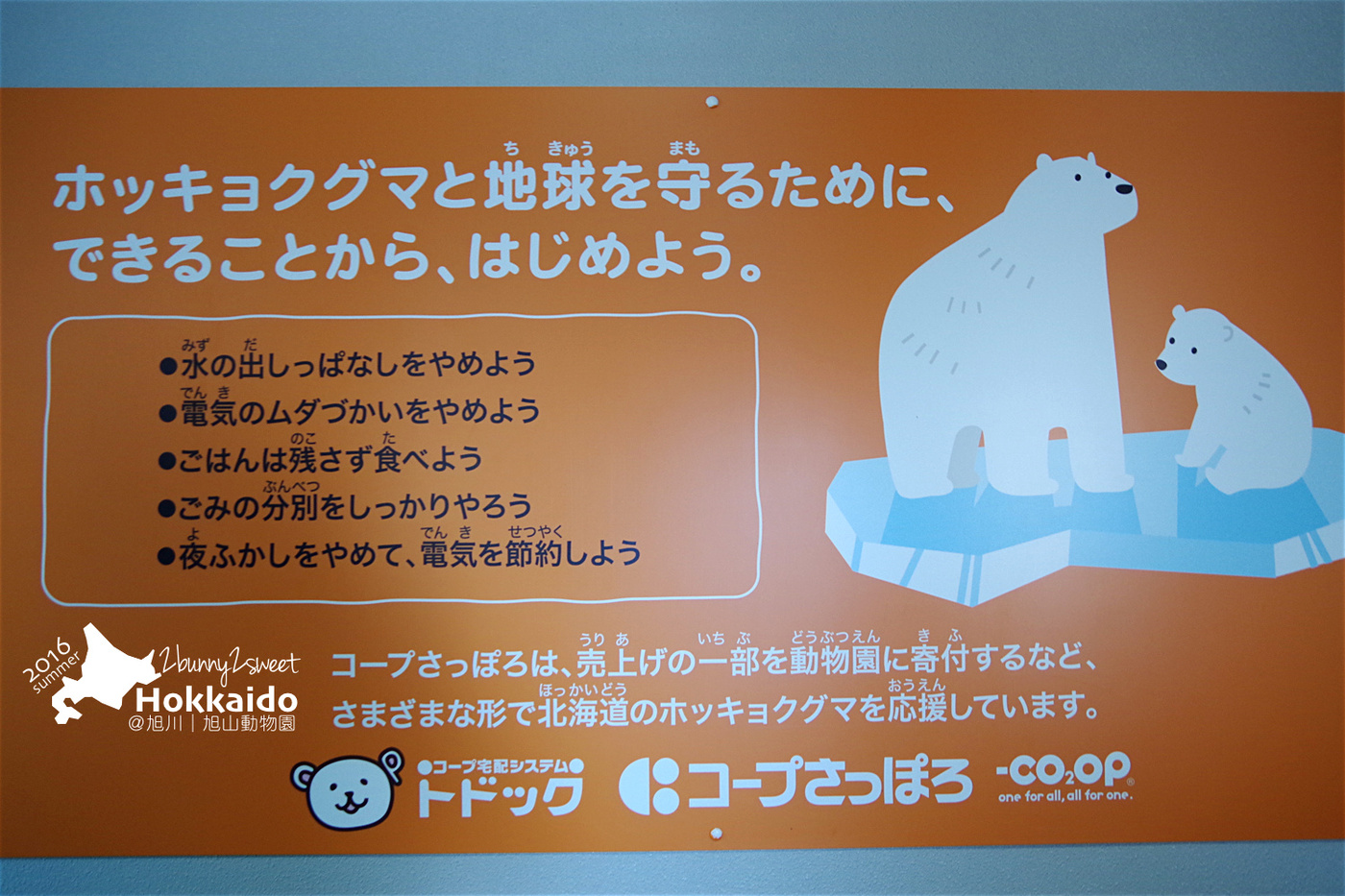 [北海道|親子|自駕] 旭山動物園～看極地動物不用隔著玻璃!! 在『旭山動物園』和企鵝、北極熊面對面～旭川親子景點 @兔兒毛毛姊妹花