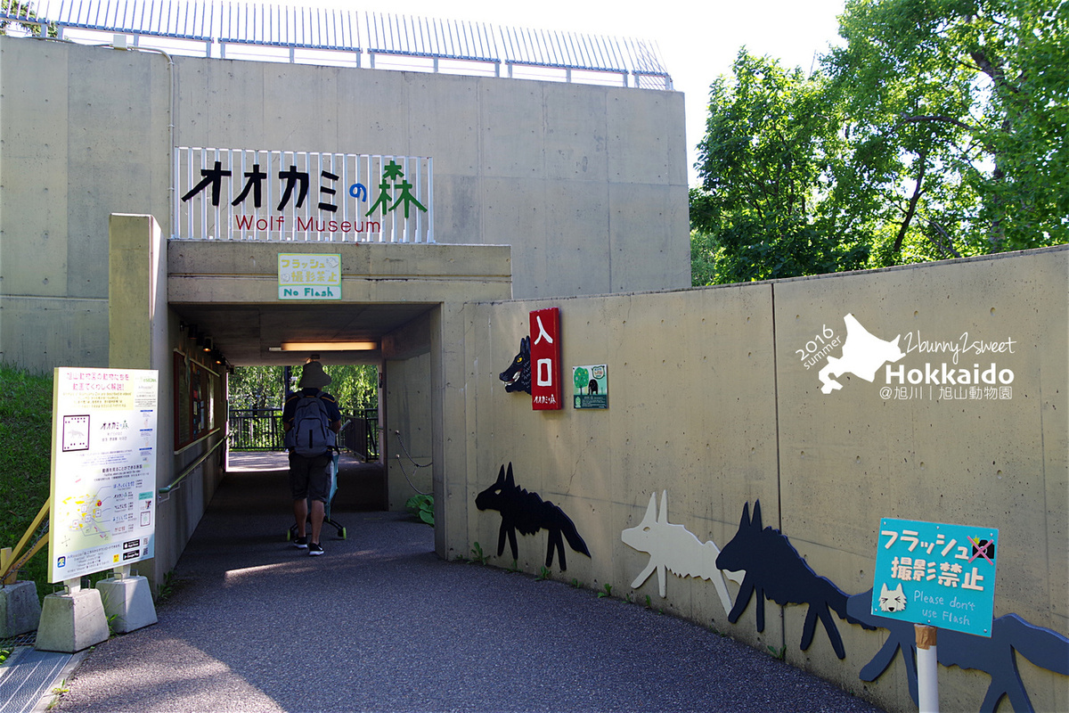 [北海道|親子|自駕] 旭山動物園～看極地動物不用隔著玻璃!! 在『旭山動物園』和企鵝、北極熊面對面～旭川親子景點 @兔兒毛毛姊妹花