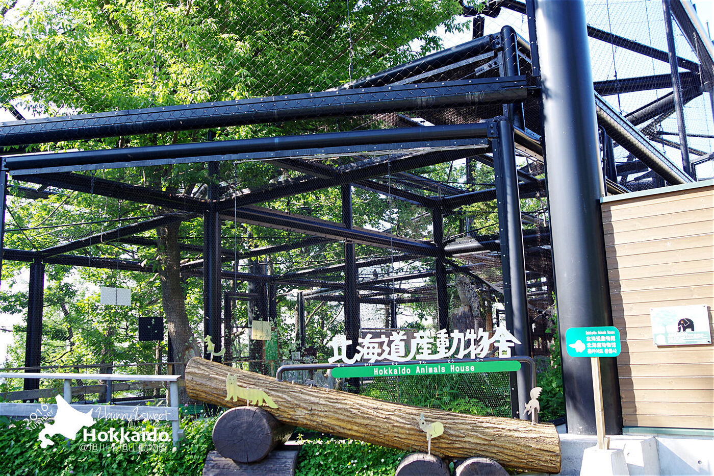 [北海道|親子|自駕] 旭山動物園～看極地動物不用隔著玻璃!! 在『旭山動物園』和企鵝、北極熊面對面～旭川親子景點 @兔兒毛毛姊妹花