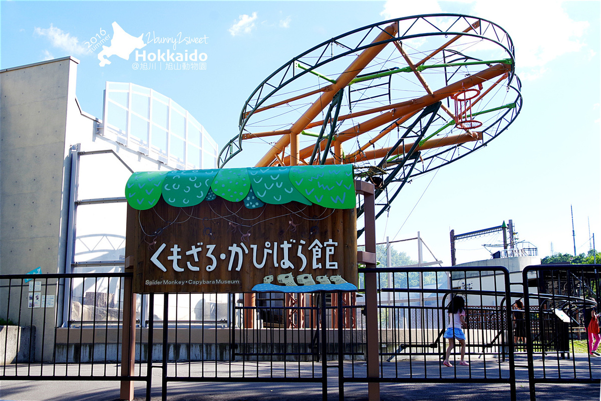 [北海道|親子|自駕] 旭山動物園～看極地動物不用隔著玻璃!! 在『旭山動物園』和企鵝、北極熊面對面～旭川親子景點 @兔兒毛毛姊妹花