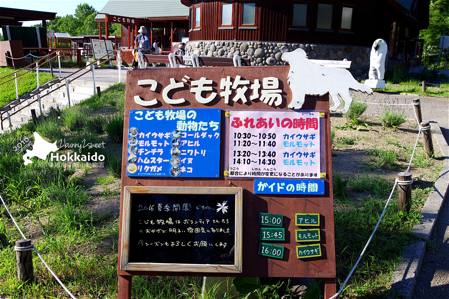 [北海道|親子|自駕] 旭山動物園～看極地動物不用隔著玻璃!! 在『旭山動物園』和企鵝、北極熊面對面～旭川親子景點 @兔兒毛毛姊妹花