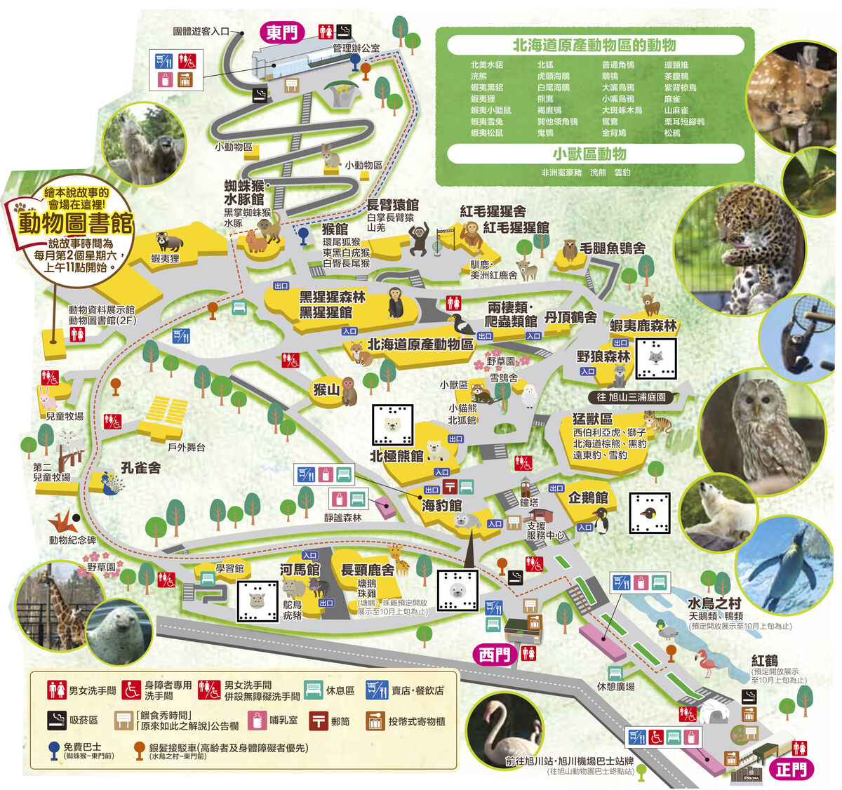 [北海道|親子|自駕] 旭山動物園～看極地動物不用隔著玻璃!! 在『旭山動物園』和企鵝、北極熊面對面～旭川親子景點 @兔兒毛毛姊妹花
