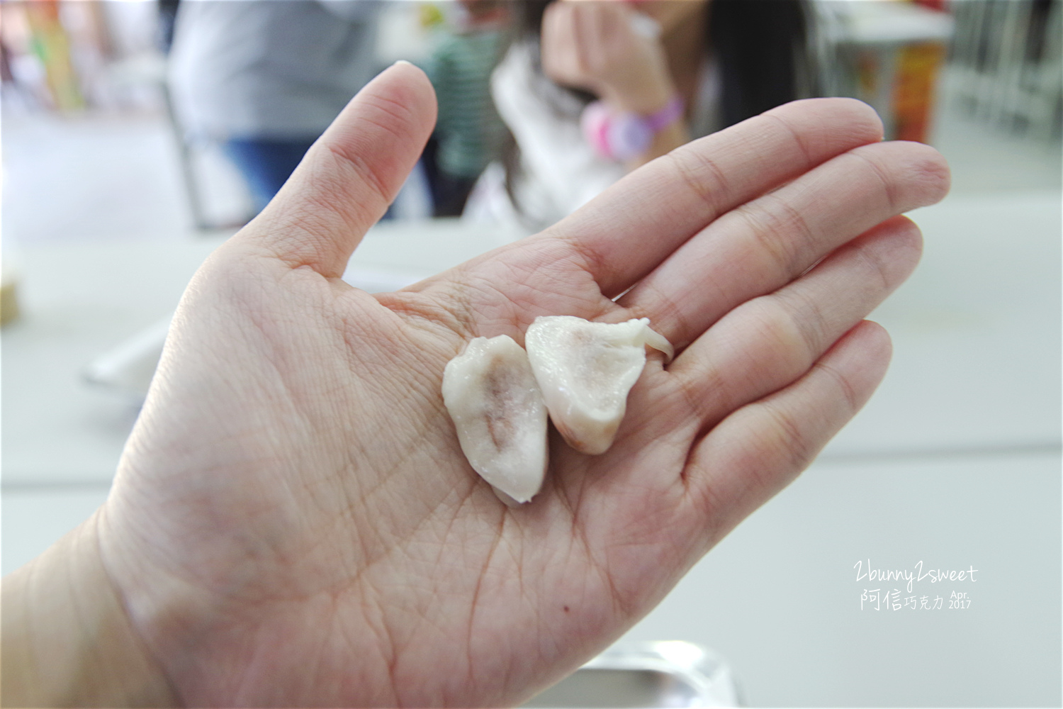 [親子旅遊。屏東] 阿信巧克力農場～可可生態導覽 x 巧克力創意 DIY x 食人族阿士瑪人舞蹈表演 ～墾丁親子景點 @兔兒毛毛姊妹花