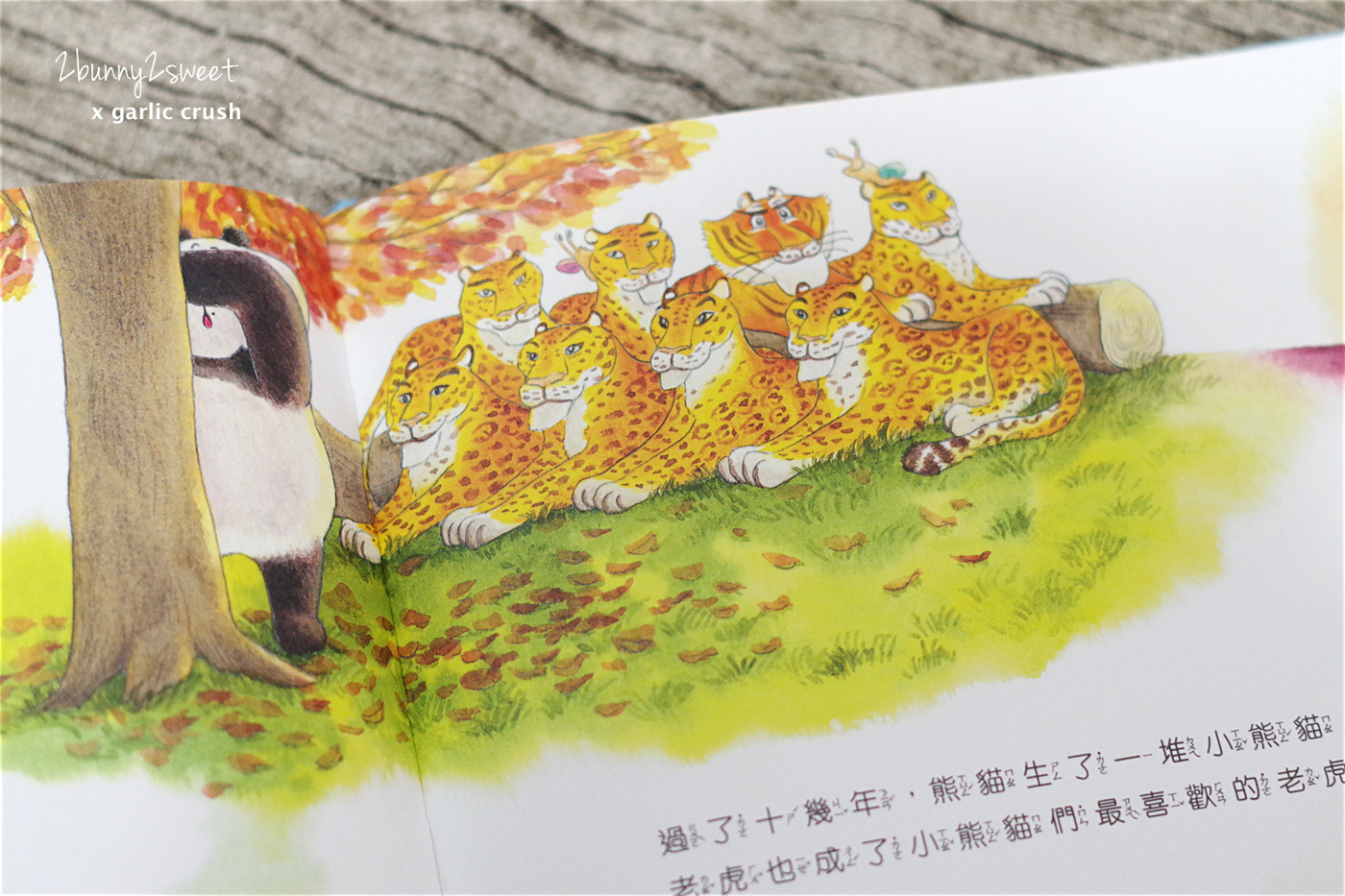 [好書。推薦] 幽默逗趣，邊看書邊玩遊戲的歡樂繪本～青龍幫幫忙 & 虎爺幫幫忙 by Garlic Crush STUDIOS 妙蒜小農 @兔兒毛毛姊妹花