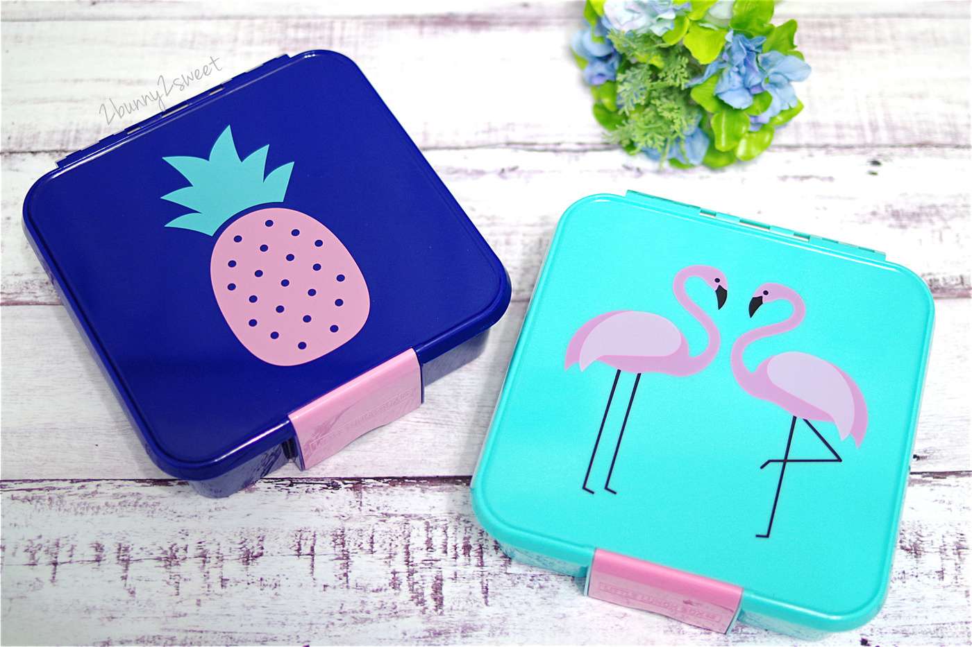 [好物。體驗] 小小午餐盒 LITTLE LUNCH BOX～來自澳洲的可愛無毒便當盒，防漏分隔設計好適合做造型便當、帶出門野餐 @兔兒毛毛姊妹花