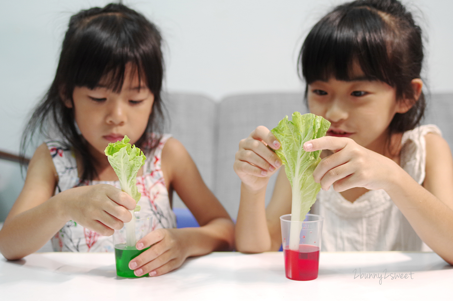 [玩具。體驗] Science4you 英國科學魔術百寶盒~在家也能帶著孩子輕鬆玩科學、做實驗～有趣又有教育意義的科學玩具 @兔兒毛毛姊妹花