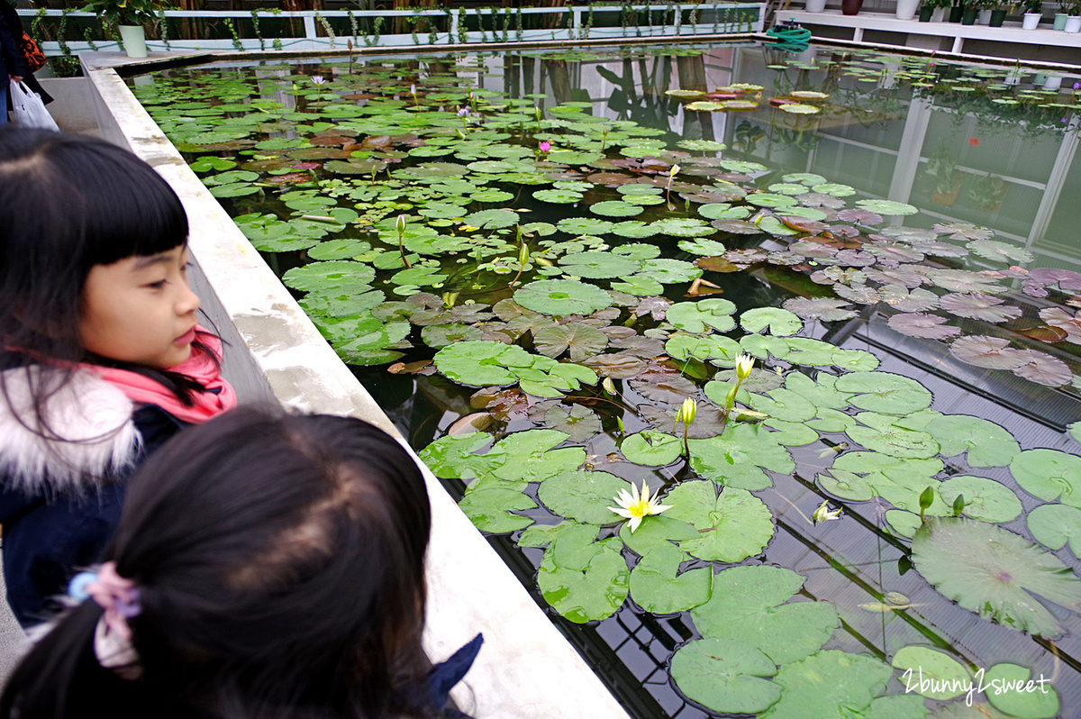 【海地獄】九州別府地獄溫泉必訪景點～藍色溫泉池＋夢幻日式庭園旅遊攻略 @兔兒毛毛姊妹花