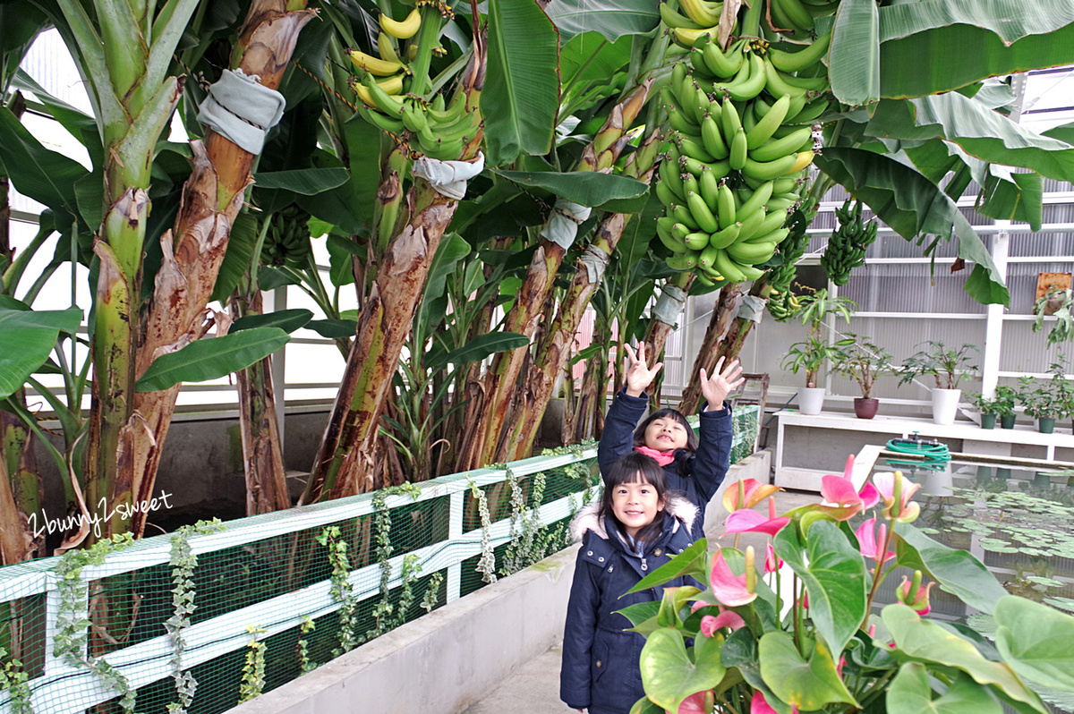 【海地獄】九州別府地獄溫泉必訪景點～藍色溫泉池＋夢幻日式庭園旅遊攻略 @兔兒毛毛姊妹花