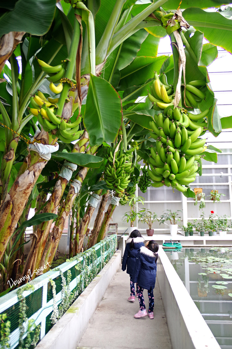 【海地獄】九州別府地獄溫泉必訪景點～藍色溫泉池＋夢幻日式庭園旅遊攻略 @兔兒毛毛姊妹花