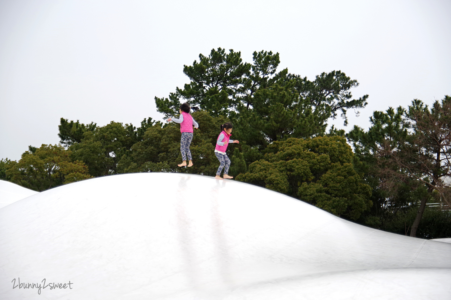 【海之中道海濱公園】福岡親子景點推薦｜300公頃國營公園、動物園、水樂園、花海一次玩 @兔兒毛毛姊妹花