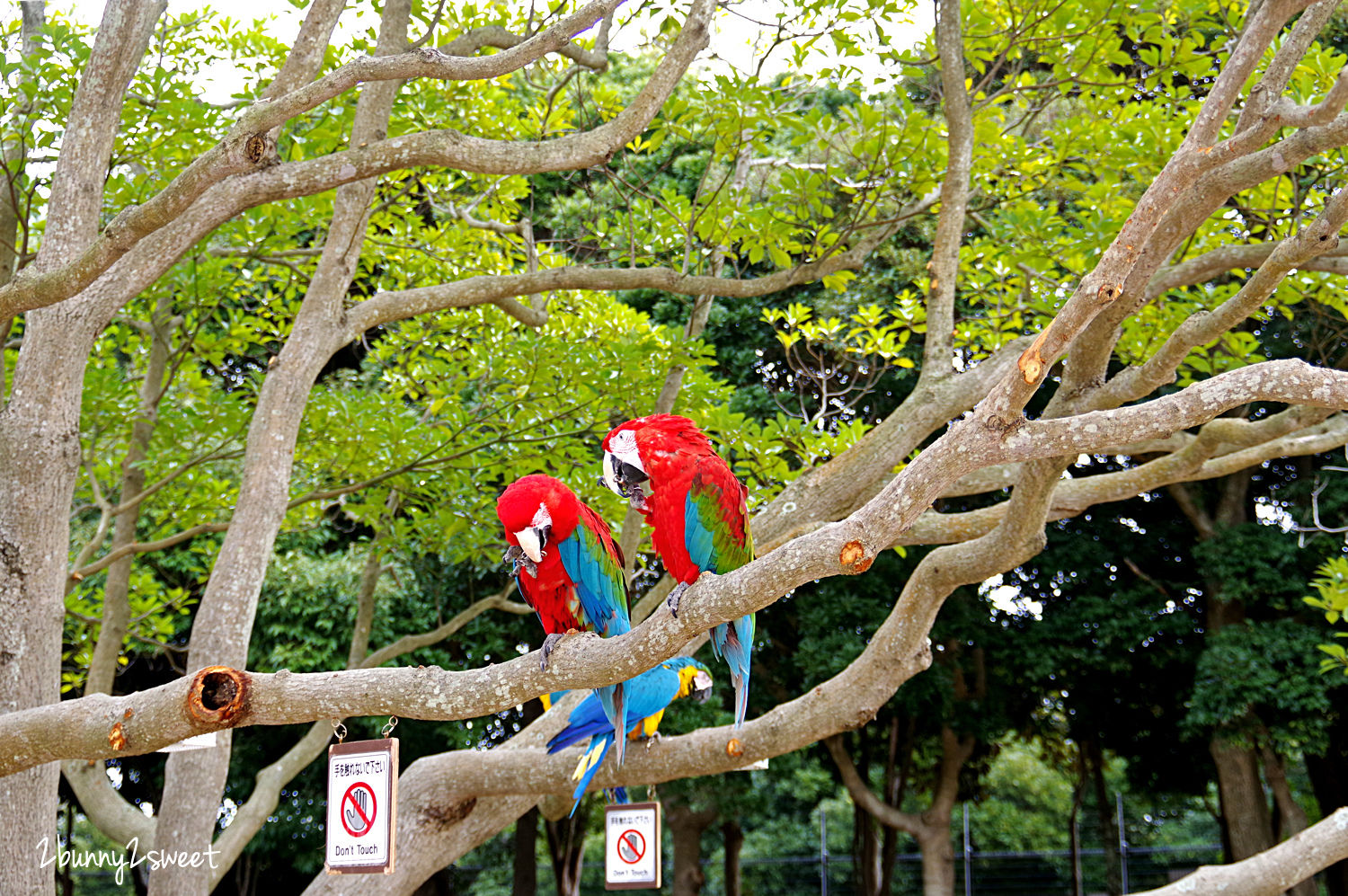 【海之中道海濱公園】福岡親子景點推薦｜300公頃國營公園、動物園、水樂園、花海一次玩 @兔兒毛毛姊妹花
