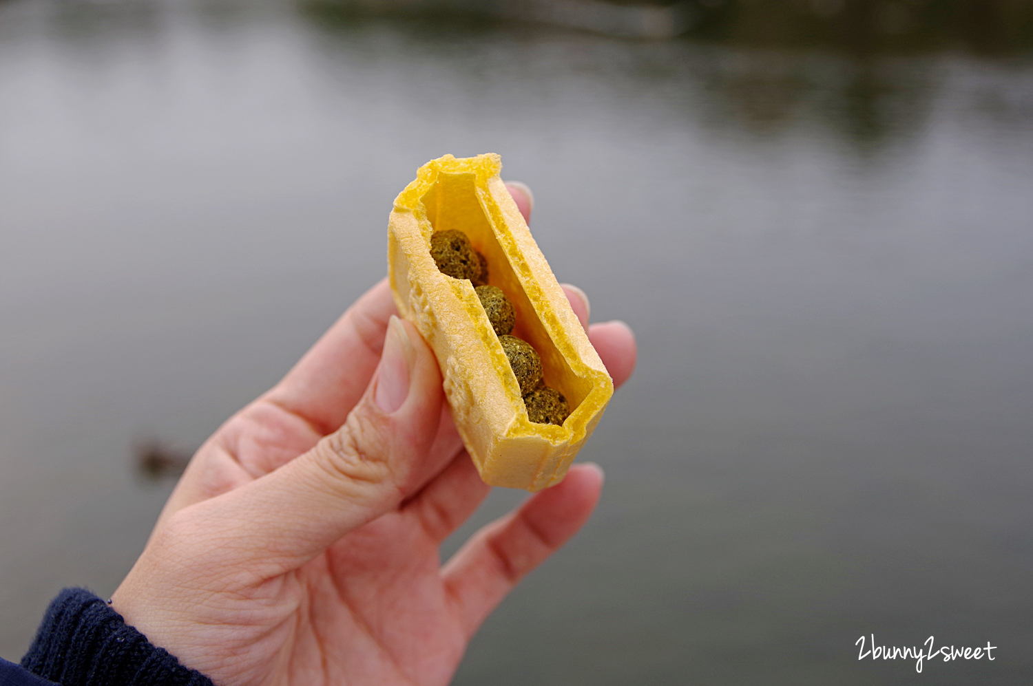 【海之中道海濱公園】福岡親子景點推薦｜300公頃國營公園、動物園、水樂園、花海一次玩 @兔兒毛毛姊妹花